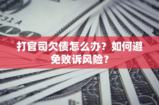 北京打官司欠债怎么办？如何避免败诉风险？