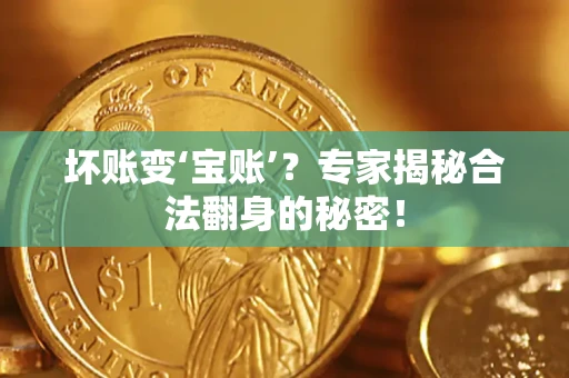 北京坏账变‘宝账’？专家揭秘合法翻身的秘密！