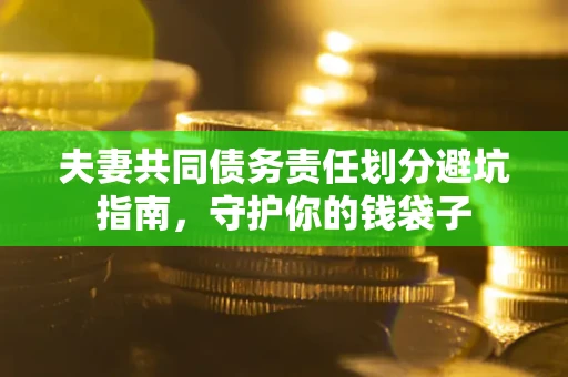 北京夫妻共同债务责任划分避坑指南，守护你的钱袋子