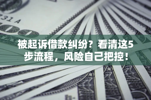 北京被起诉借款纠纷？看清这5步流程，风险自己把控！