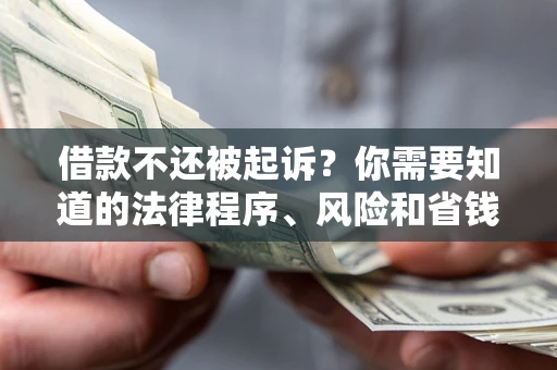 北京借款不还被起诉？你需要知道的法律程序、风险和省钱技巧